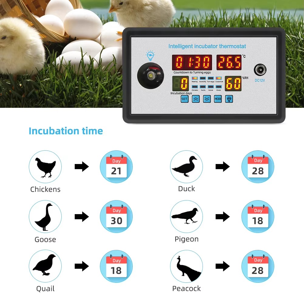 Pengontrol Inkubator Telur ZFX - Lab Incubator ulasan dan harga
