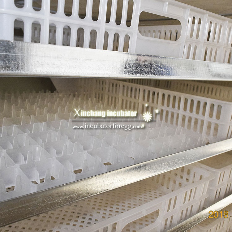 Mesin penetasan telur 5000 but - Lab Incubator ulasan dan harga