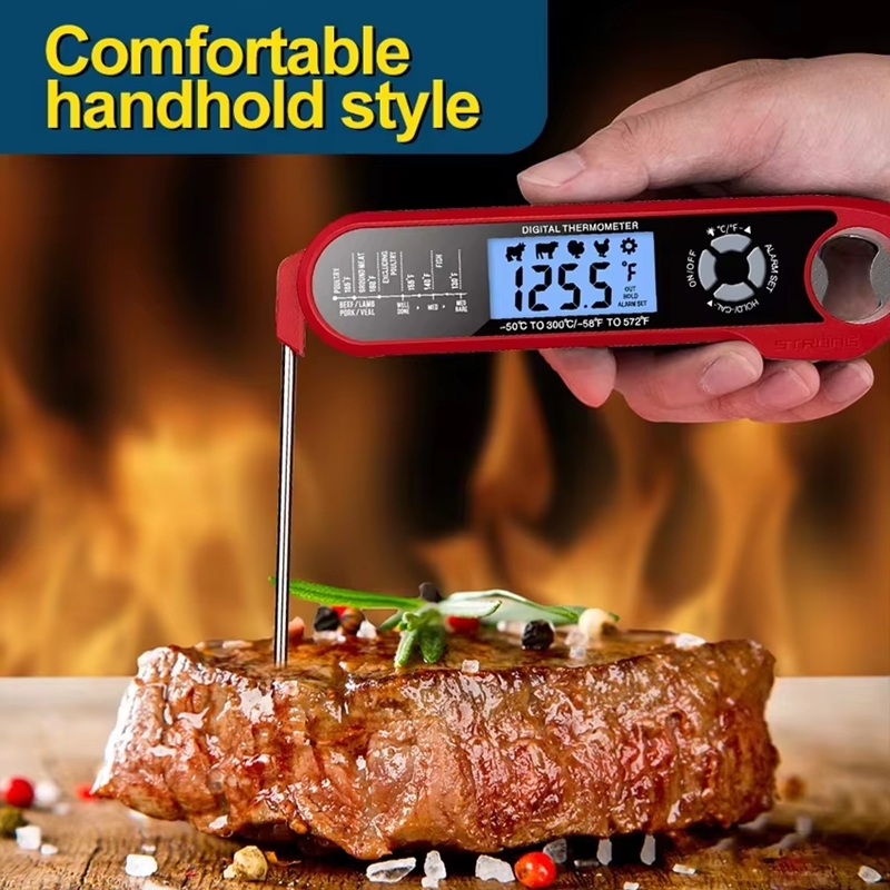 Termometer Daging Digital Dual - Thermometer Digital ulasan dan harga
