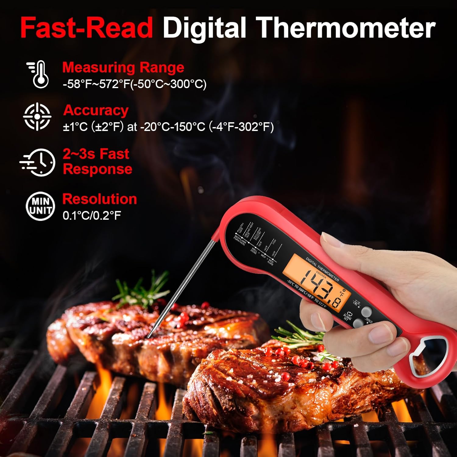 Termometer Daging Digital Prof - Thermometer Digital ulasan dan harga